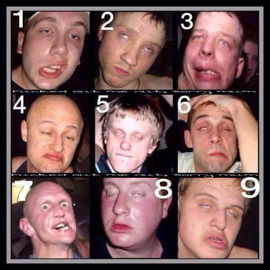 SkaggyBaws's tweet photo. The 9 faces of Spud @FelineFunky https://t.co/6HRiYKqXZb
