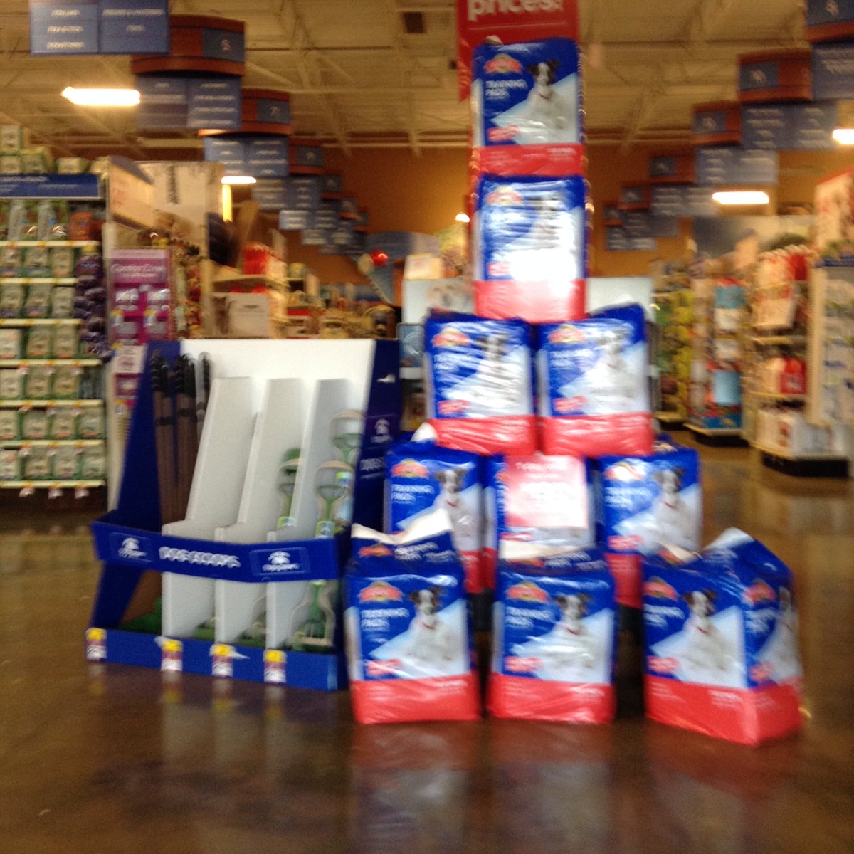 PetSmart2273's tweet photo. Puppy pads only $19.99! @CraigZ_petm https://t.co/F76I9XmEV2