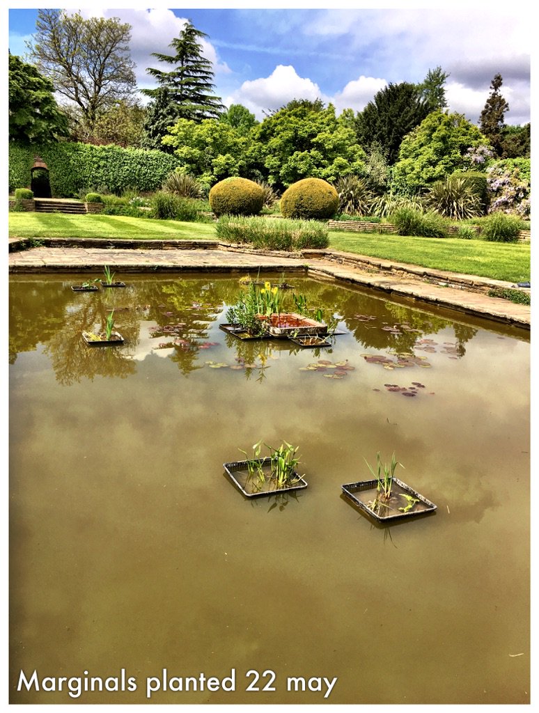 Rotary Edg&Stanmore tweet media