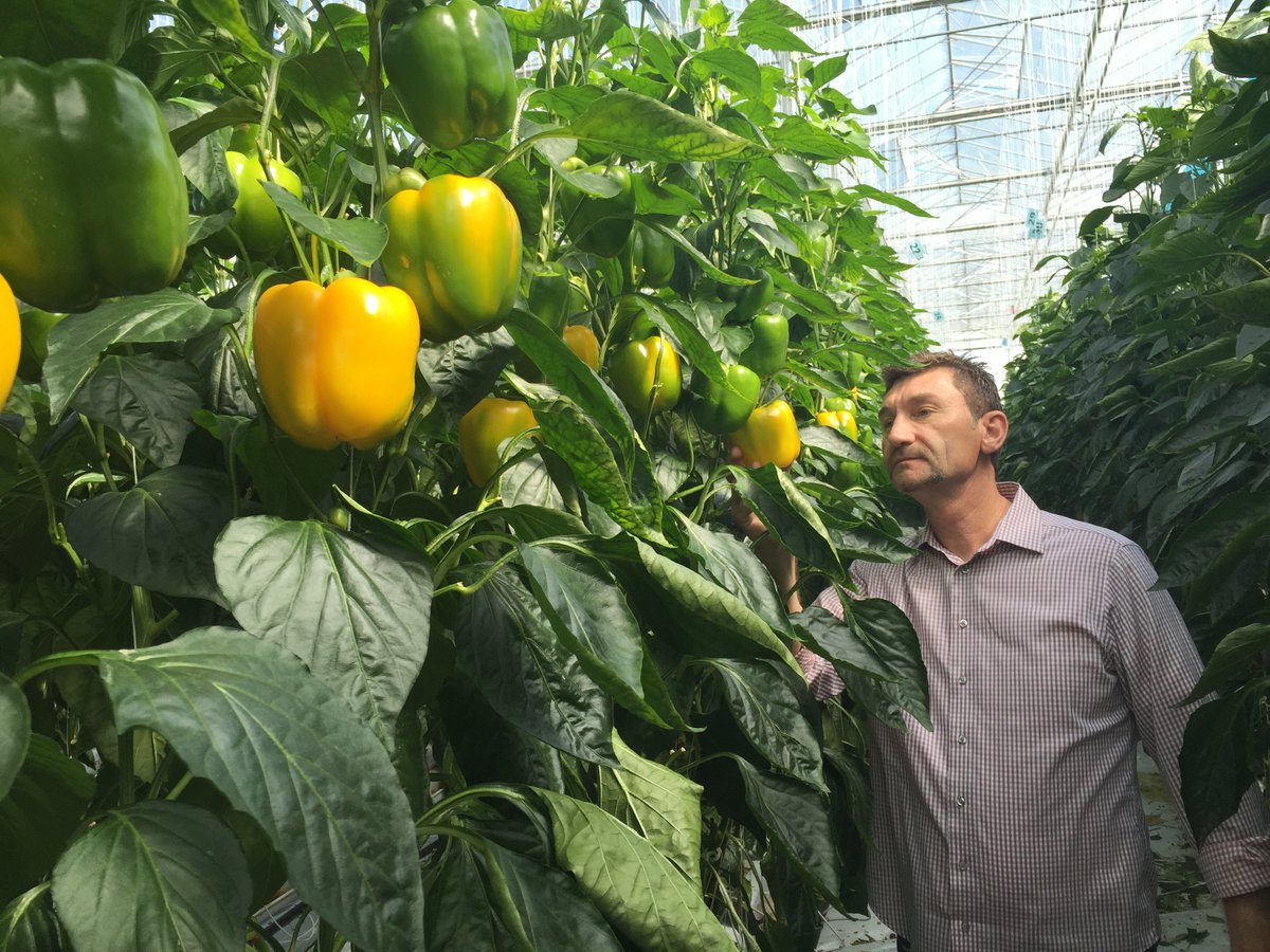 Nature_Fresh's tweet photo. Our President @PeterQuiring knows his business, inside & out. He's built our company from the ground up. #HandsOnCEO https://t.co/Xjj2zpEtrL