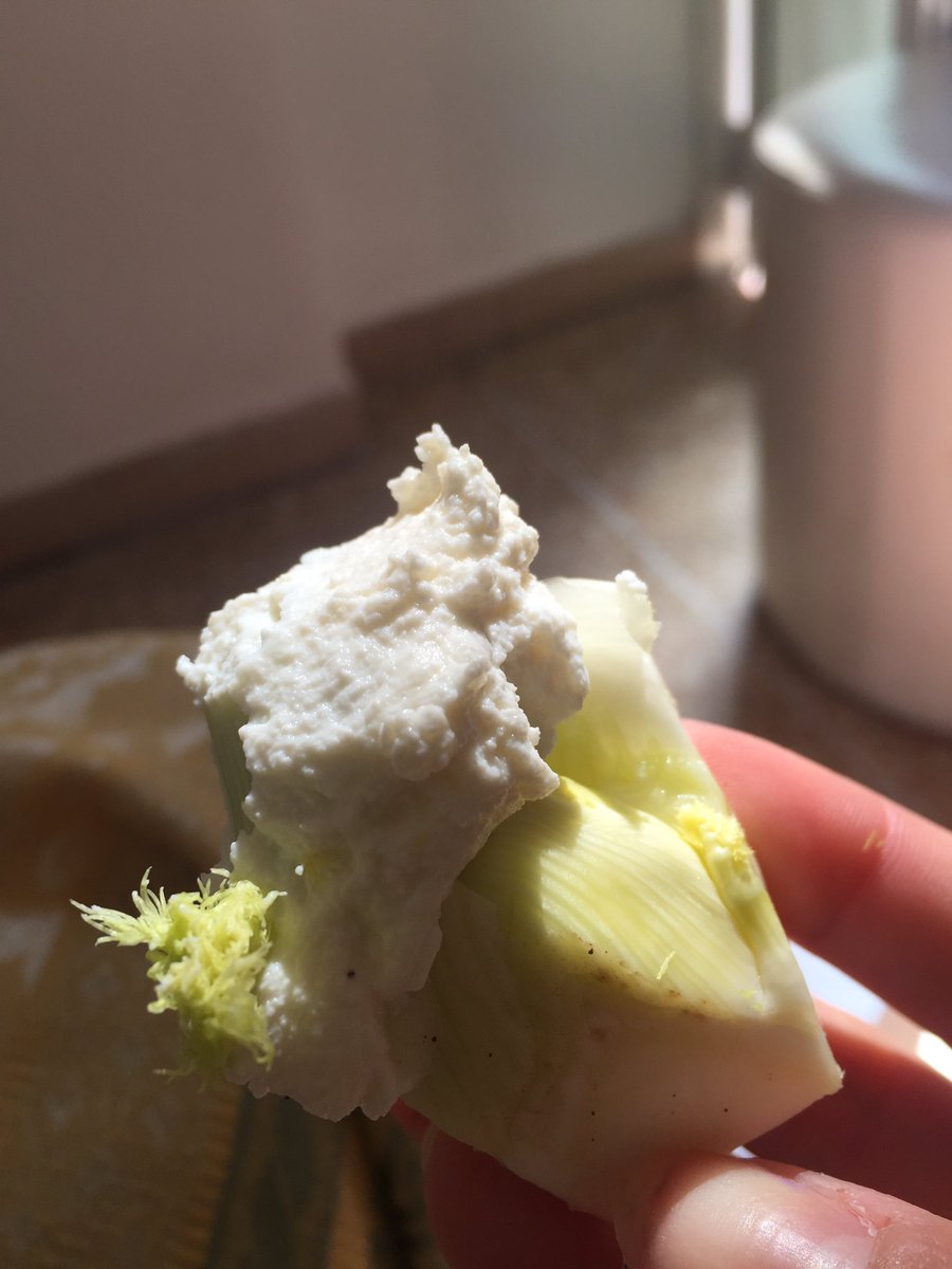 HeatherLindgre1's tweet photo. Vegetarian snack: finocchi e ricotta 💘💘💘 #vegetarianrecipes #bbs @BBSClovers bbsovers #healthyeating https://t.co/tQz1MHQMq1