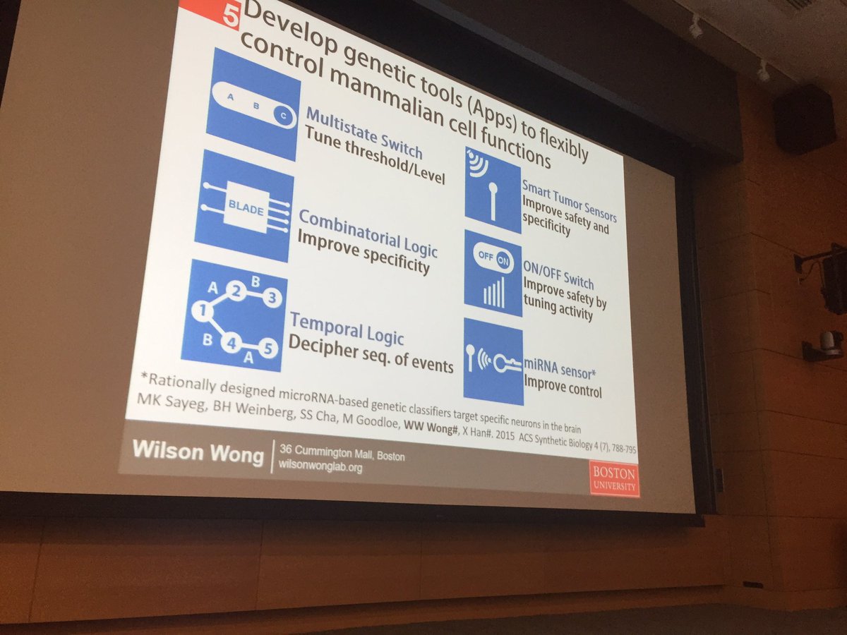 MammalianSynbio's tweet photo. WW: Methods of #synbio control of CARs. @BU_Tweets https://t.co/1CRlWS62De