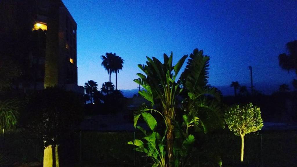 philpeel's tweet photo. End of our last night at #Cannes2016. 3rd dawn in a row. #2hoursleep #wasted #indiefilm https://t.co/ETdM8Mo7mU https://t.co/6jIB1Eznfb