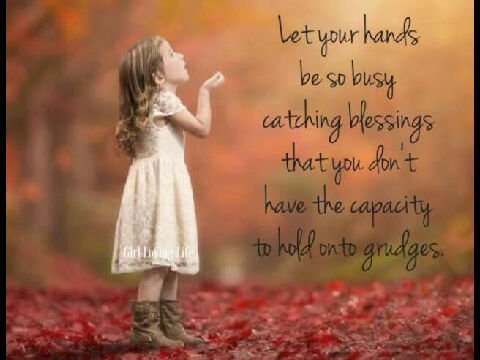 roneldw's tweet image. 