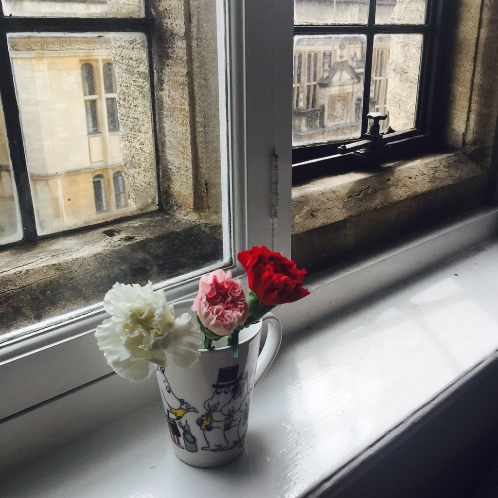 Received my exam carnations in my pigeon hole! Flowers - check; ominous view of Exam Schools - check #OxTweet