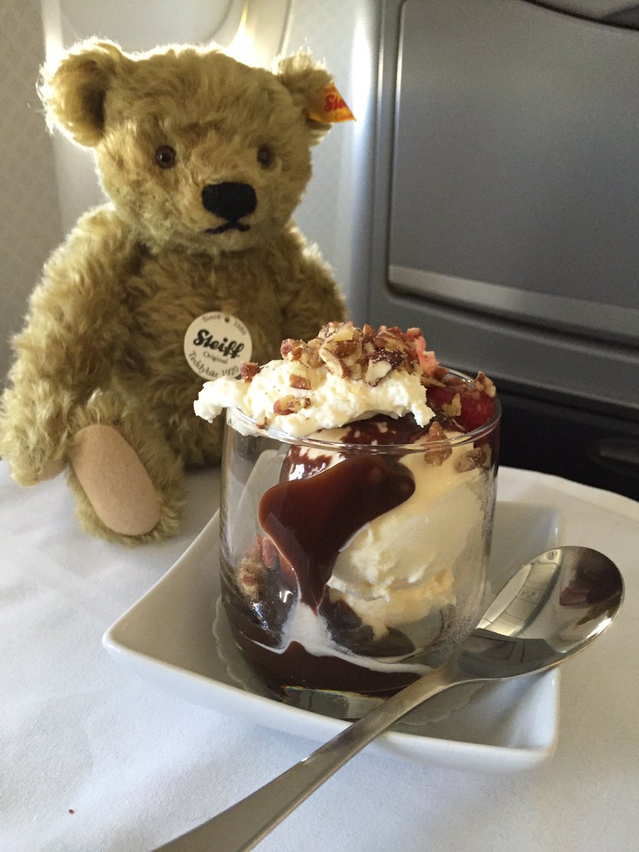 CaliKatBird's tweet photo. @SteiffOnline Meet Schnitzel who followed me home from #SteiffMuseum in #Germany. He liked flying business class! https://t.co/jAhgZhe3xF