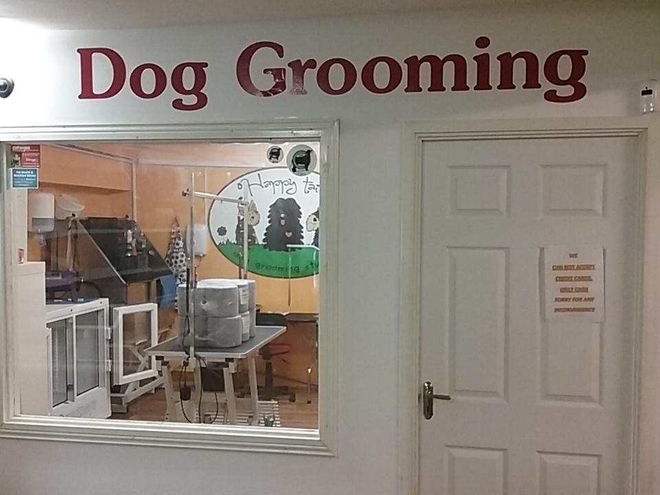 Pets Kingdom (pets_kingdom) Twitter