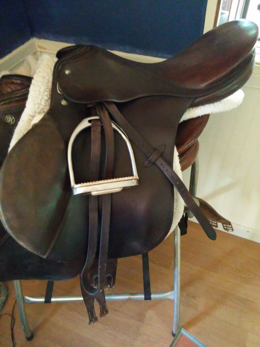 StreamHorseTV's tweet photo. @reinervshunter Here's my 35 year old #Passier. Dirt cheap used right now! https://t.co/MaTJwWHIXj