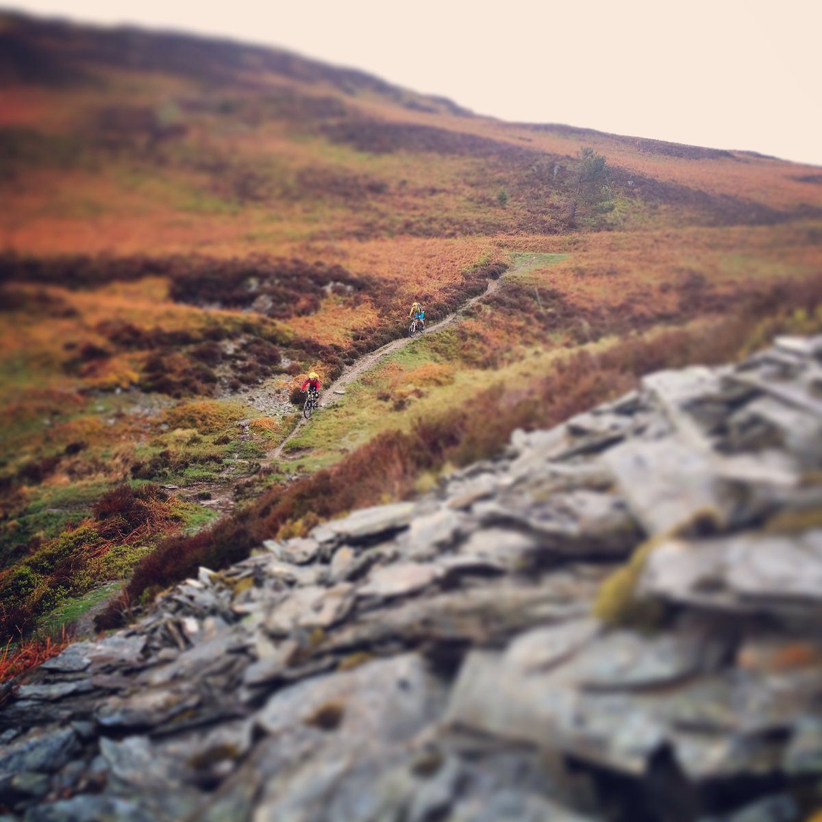 mtbwales tweet media