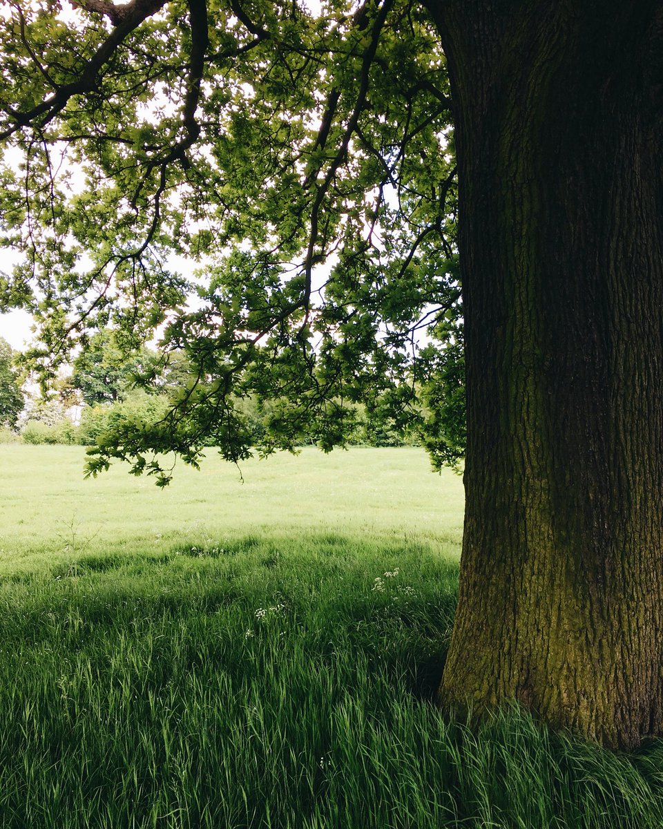 ExploringHull's tweet image. Strolls today. #Hull