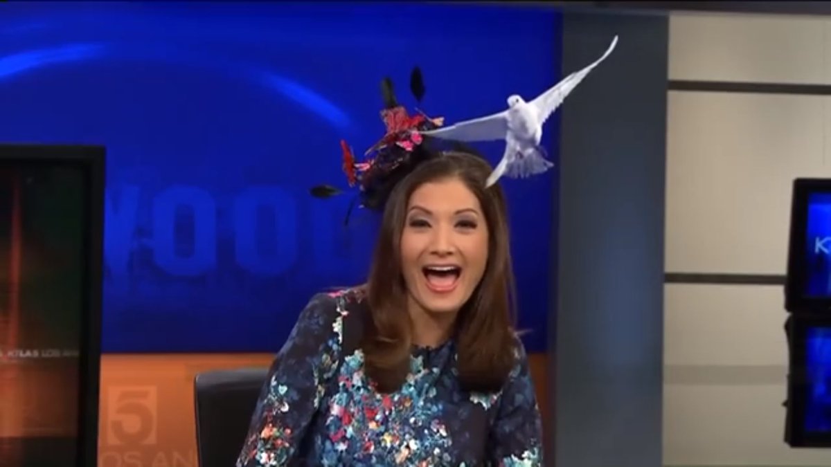 chrisburrous's tweet photo. You are invited to our anniversary party at 9:30am. RT! Watch @KTLAMorningNews @KTLA @LynetteRomero @libertechan https://t.co/YhFgRVp5le