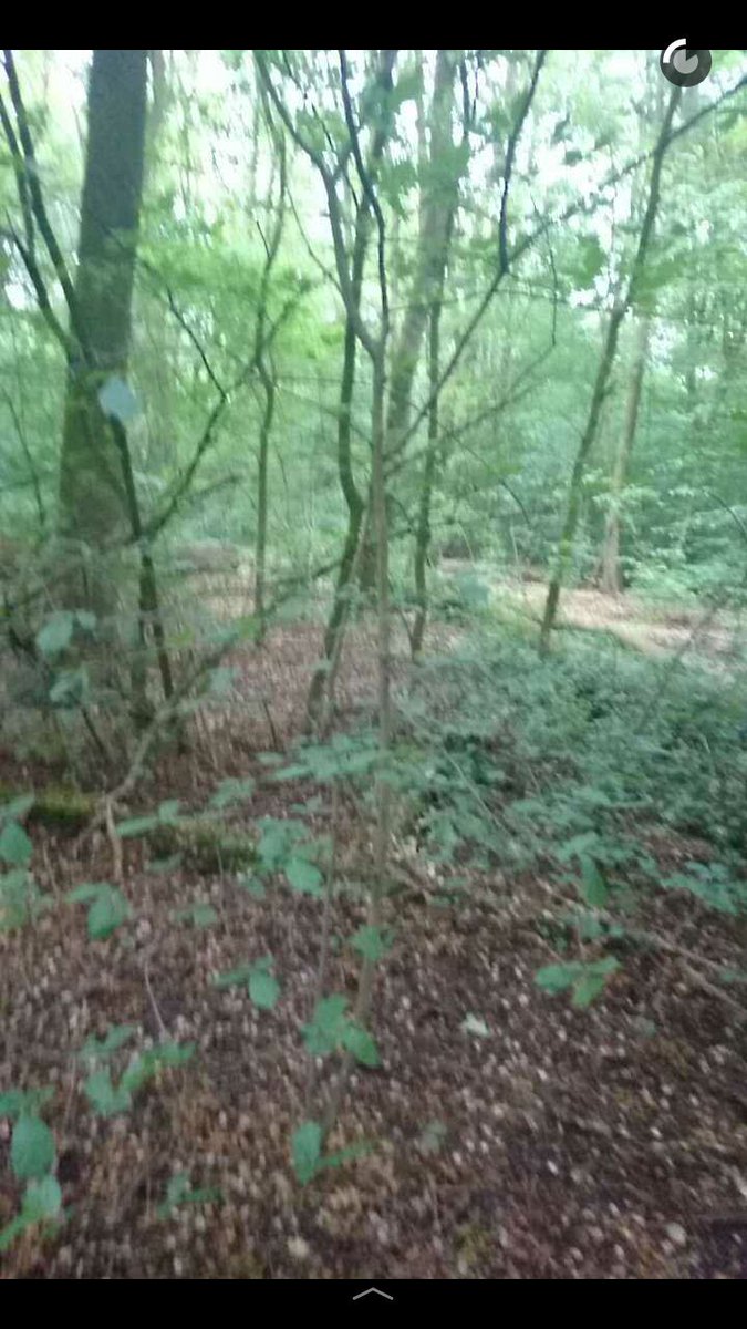 Snapchat verstoppertje be like...