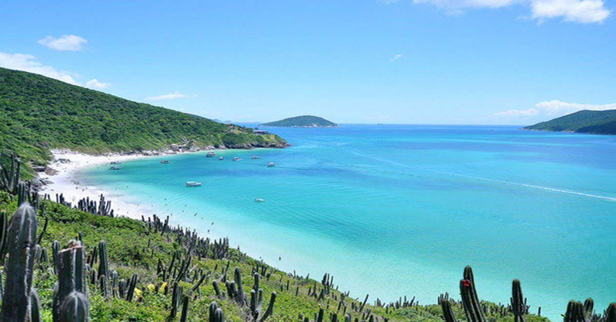 Viagem e Turismo tweet media