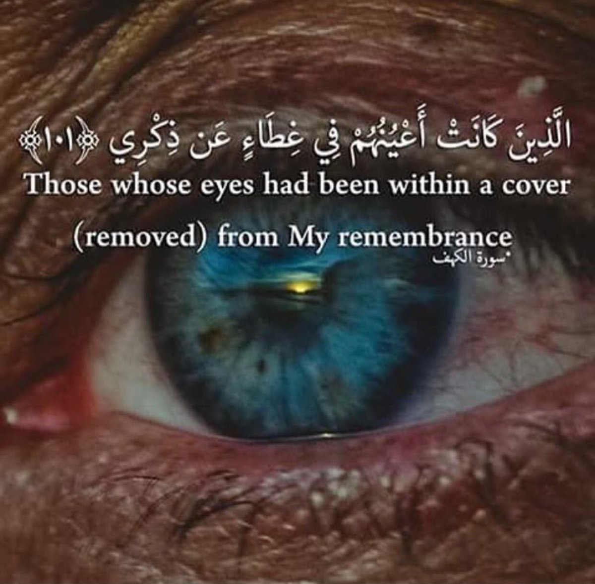 basharfaouri1's tweet image. 