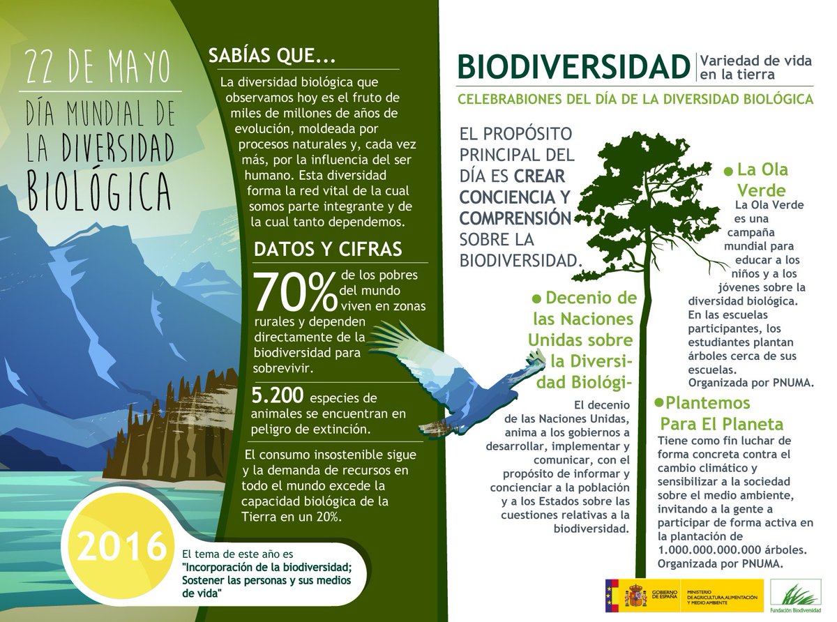Descubre algunos datos interesantes sobre el #DiaDiversidadBiologica. #Infografía