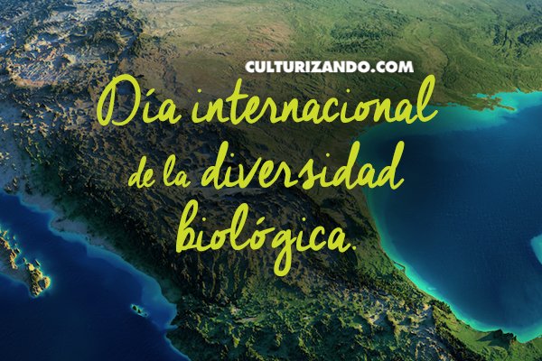 ¿Por qué se celebra el Día Internacional de la Diversidad Biológica? ► ow.ly/YtPY300pEit