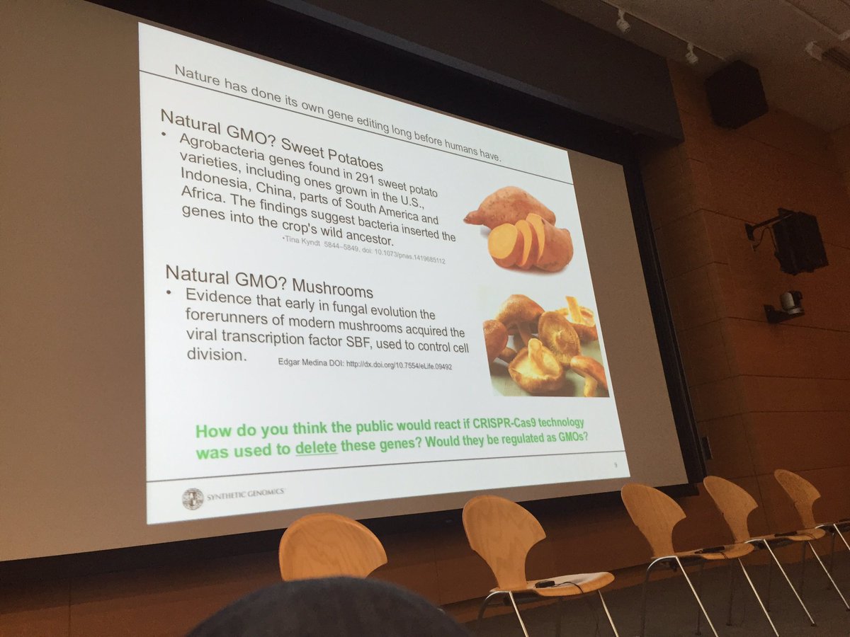 MammalianSynbio's tweet photo. DH of @sgi_dna - What is a #gmo ? Some "natural" foods contain "synthetic" elements. #msbw3 https://t.co/RCDrOqFO7g