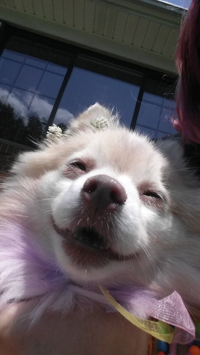 VanityFor3v3r's tweet image. #BooperDooper Selfies for Jack &amp;lt;3