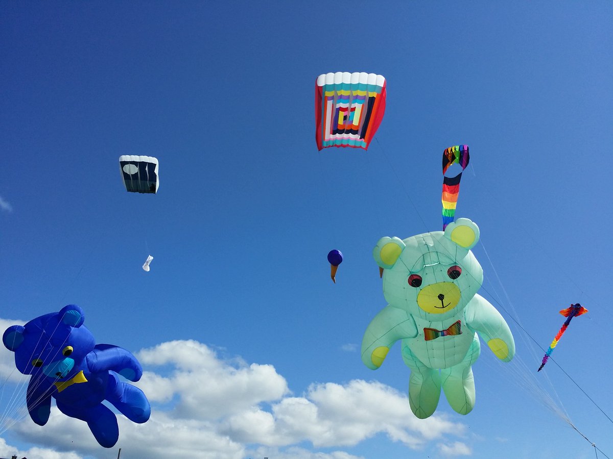 More big kites going up at Clover Point. #yyj