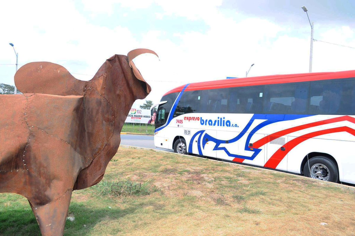 Expreso Brasilia S.A tweet media