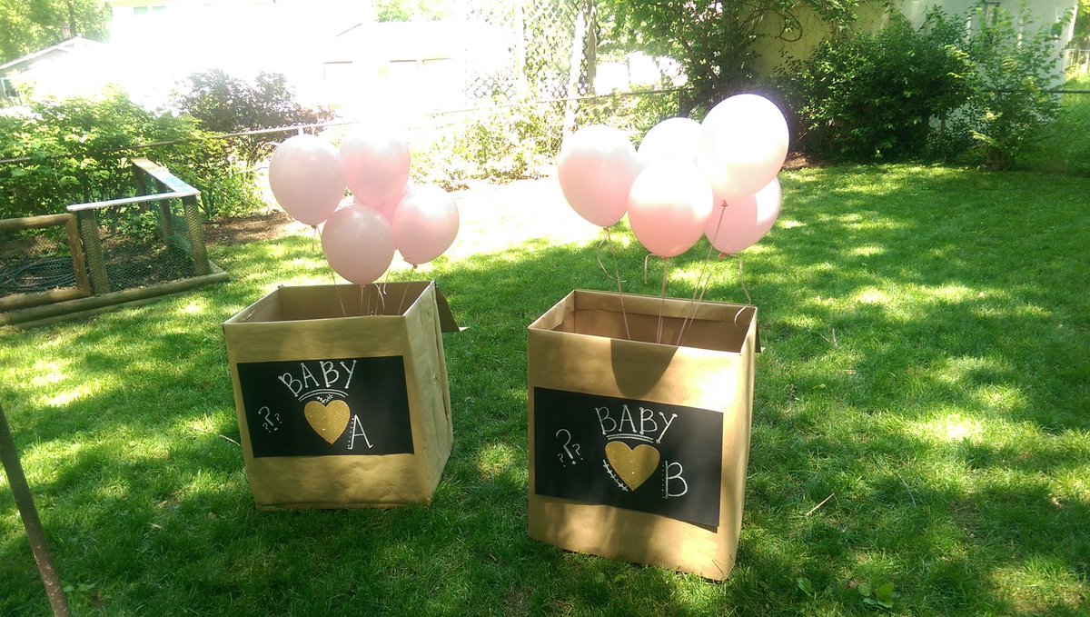ktschweitz's tweet photo. Surprise!! We are having twin girls! ❤🎀 https://t.co/l4LJP2OAPt