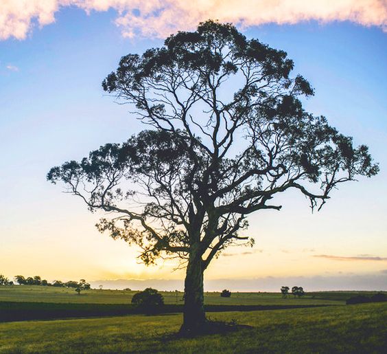 5 Sweet Lessons From Nature That Will Inspire You To Go Outside Today ow.ly/eumD300sflt