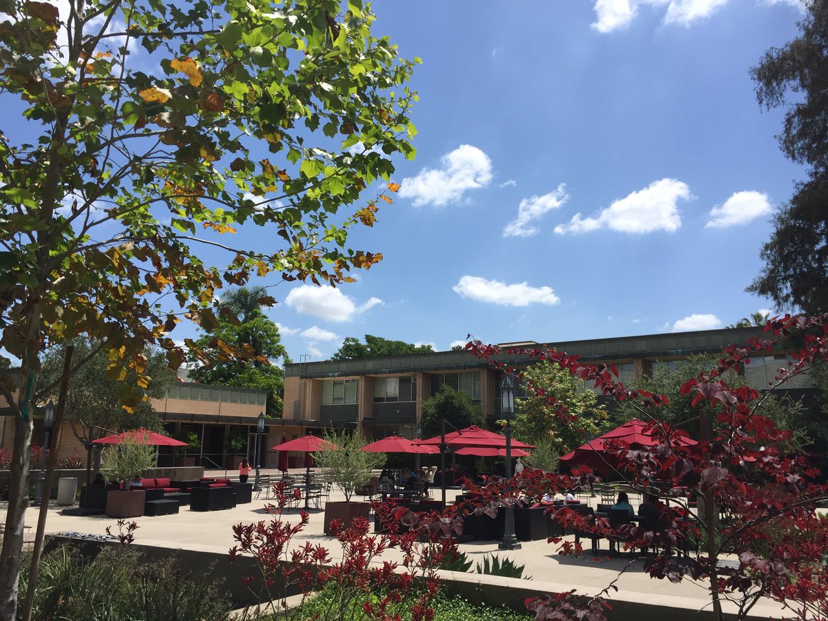 MSMU_LA's tweet photo. Summer is here...and so are #GraduateDivision weekends at the Mount! https://t.co/AO5bxzR8C7 https://t.co/zmrx0McO2S