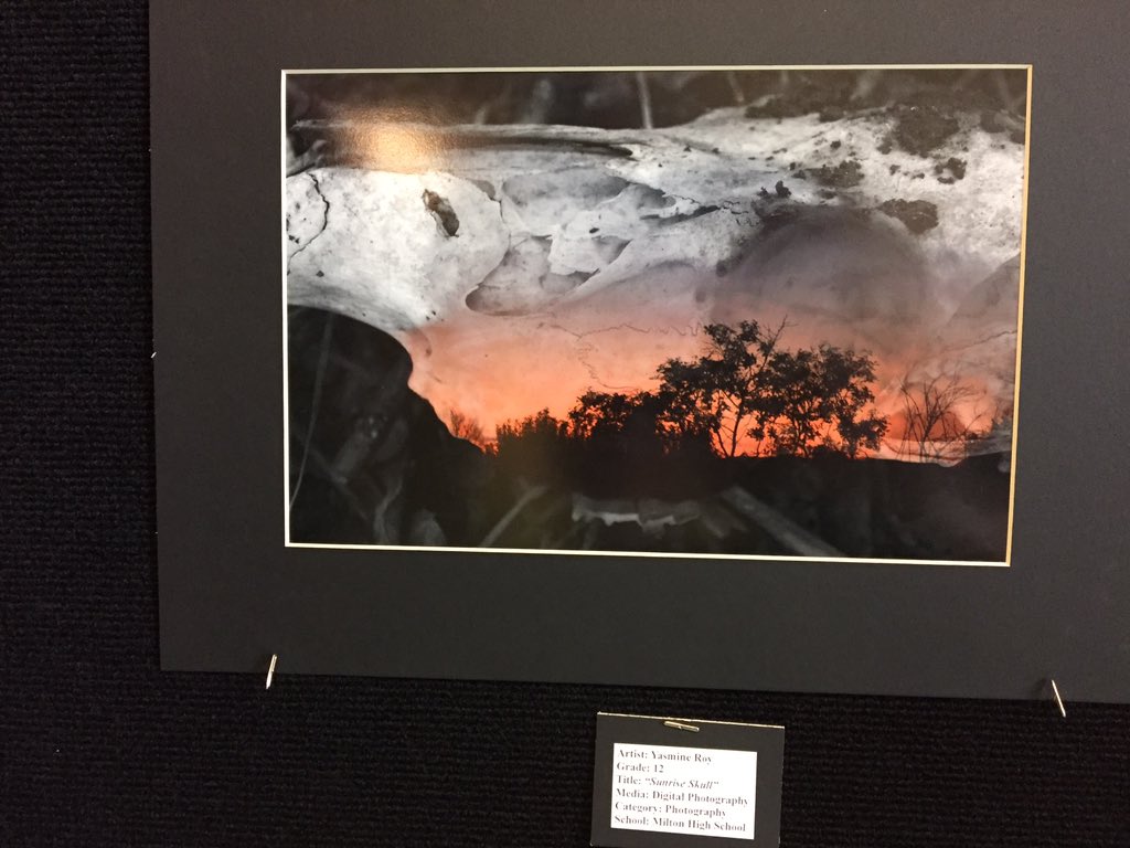SuperinTIMdent's tweet photo. Awesome Milton art: 2016 edition...#RedHawkTalent #MiltonSuperHeroes! https://t.co/hUrbTZXZFX