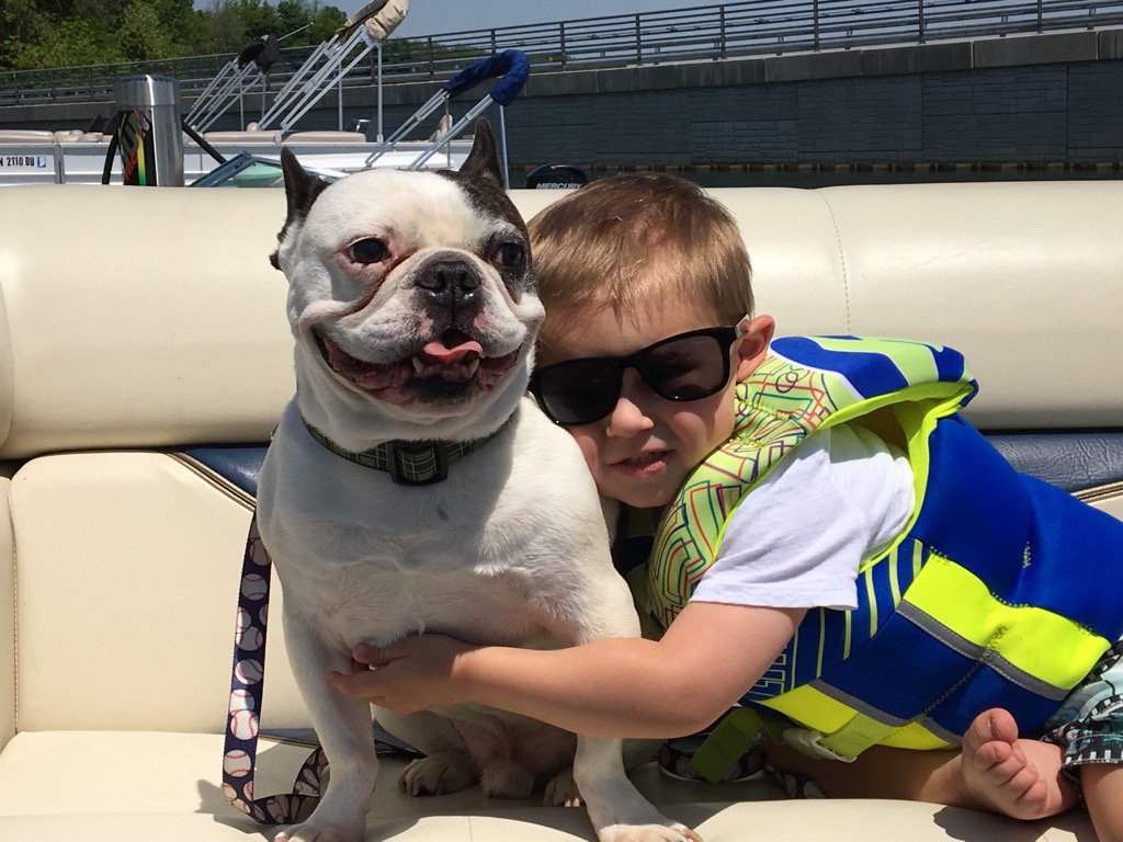 HugotheFrenchie's tweet image. It doesn't get much better than this.