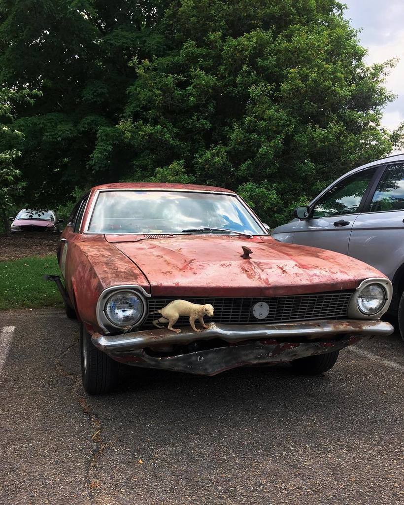 oldcar photos on Twitter "Mole rat car in an Elizabethton, TN parking