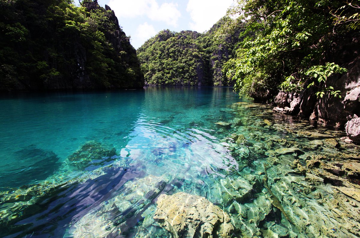 Guide_To_Travel's tweet image. Palawan Island, The Philippines.