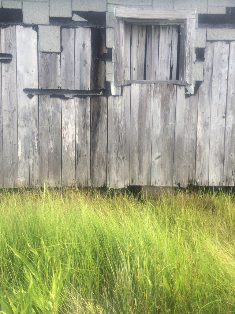 Andrea Levine tweet media