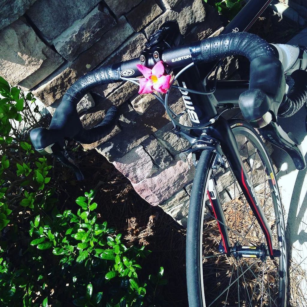 lowcountrycycle's tweet photo. Post sunny day ride #accessorizeyourbike #cyclelikeagirl #chsmoves #pizzawatts #prettyinpink #ridebmc #bmc by allyr… https://t.co/J0IWLEANct