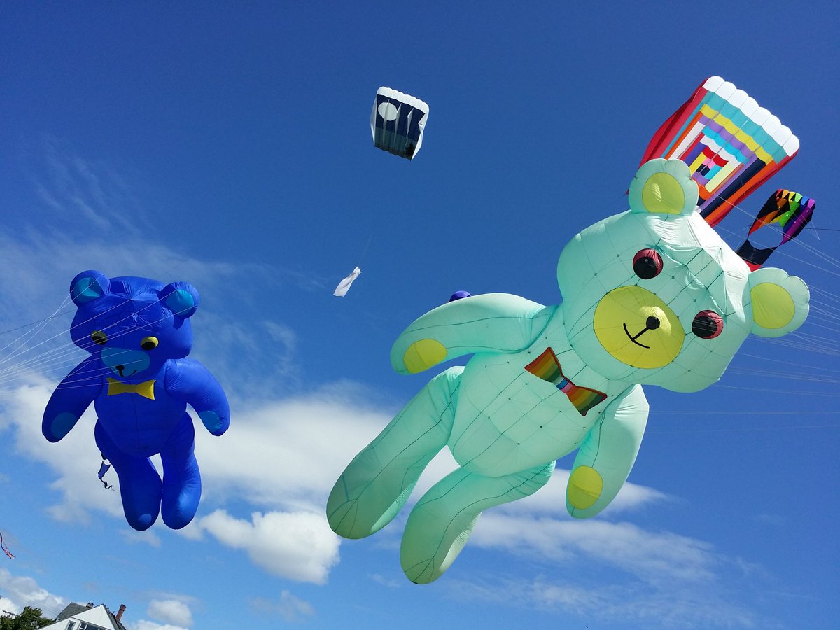 Big kites are enjoying great wind at Clover Point!  #vickite #yyj