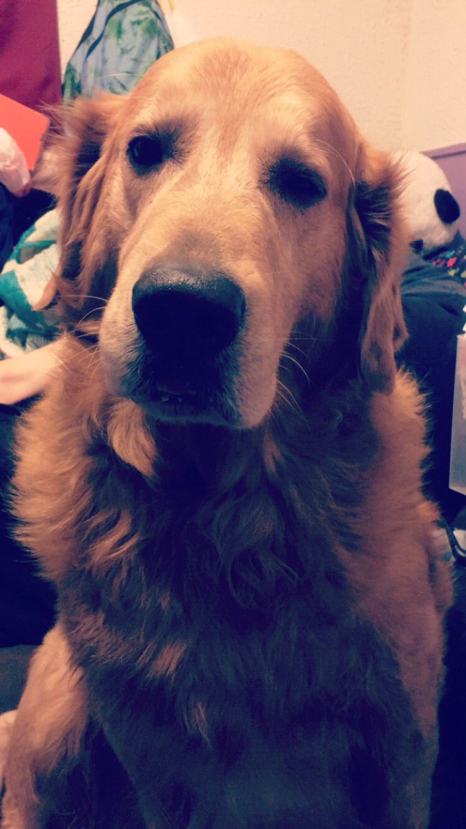 bashley257's tweet image. 