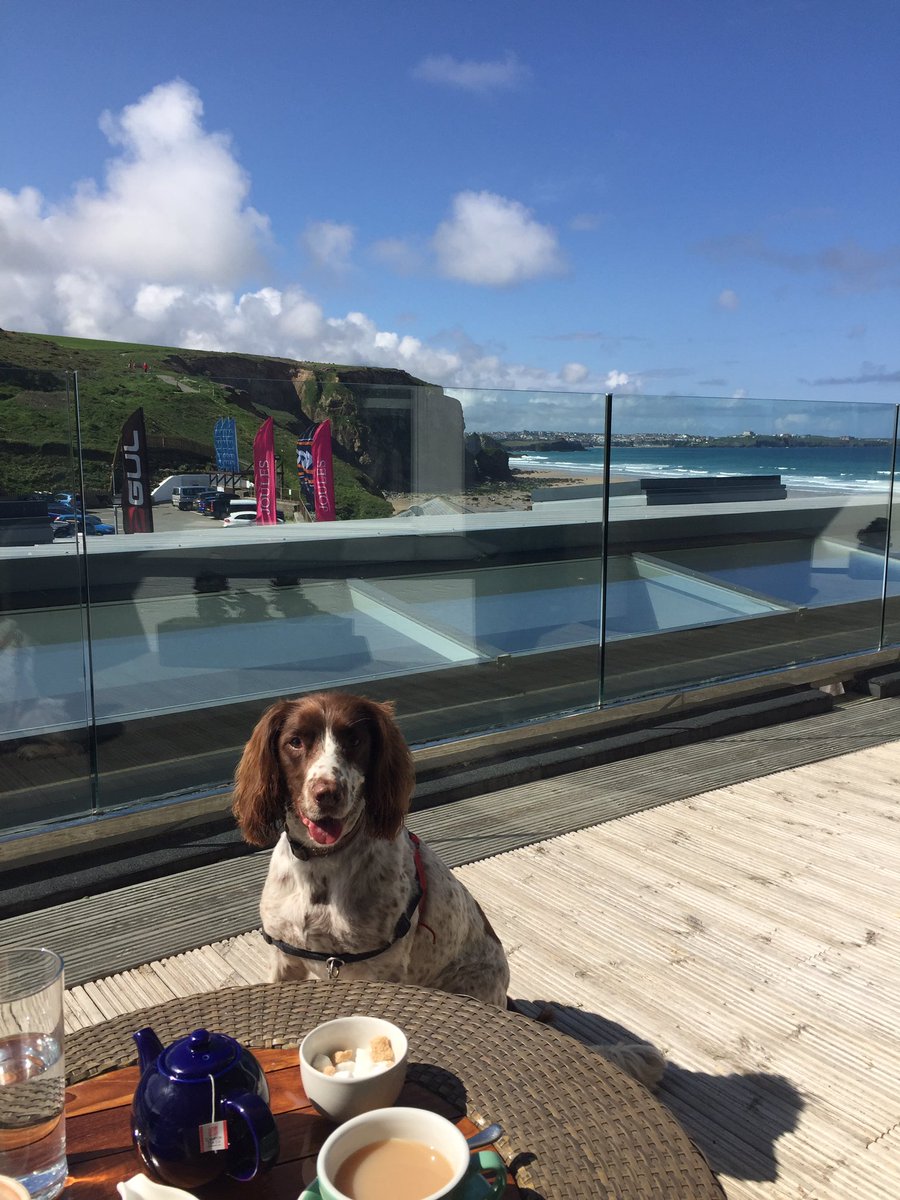 NYRO_RGreenham's tweet photo. Thank you @WatergateBay for the most amazing weekend. It was perfect for our 8 year wedding anniversary. #getaway https://t.co/2fBxr0k3Q3