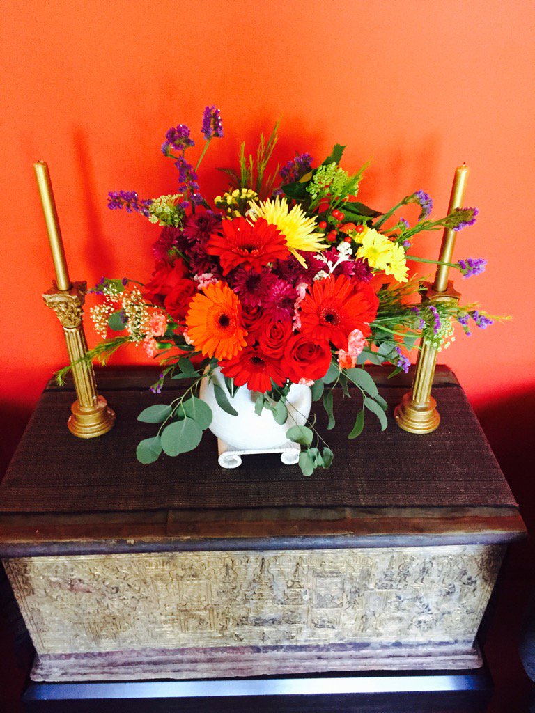 Susan MacDermid tweet media