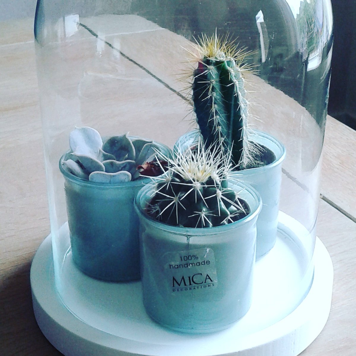 nowastedesign's tweet photo. Musthave! #Glazenstolp! #stolp #duurzaam #eco #hip #cactus #mrsbloom #micadecorations #home #deco #accessoires #fair https://t.co/woQATfBEOd
