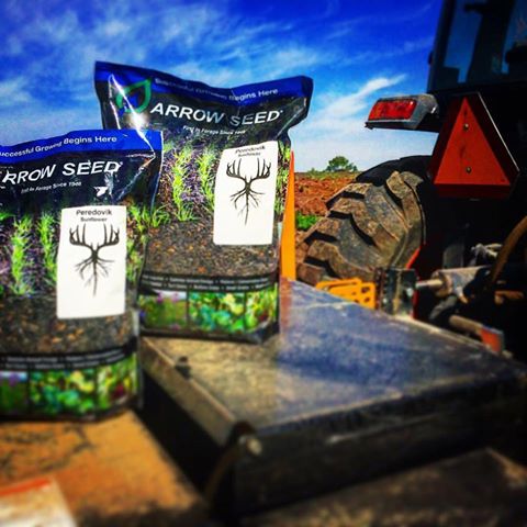 TrophyPursuit's tweet photo. Look out doves! Arrow Seed Sunflowers going in today. Ross Nilson
#ArrowSeed #TheHuntNeverEnds #dovehunting #gomuddy https://t.co/OXMxy7Zf8B