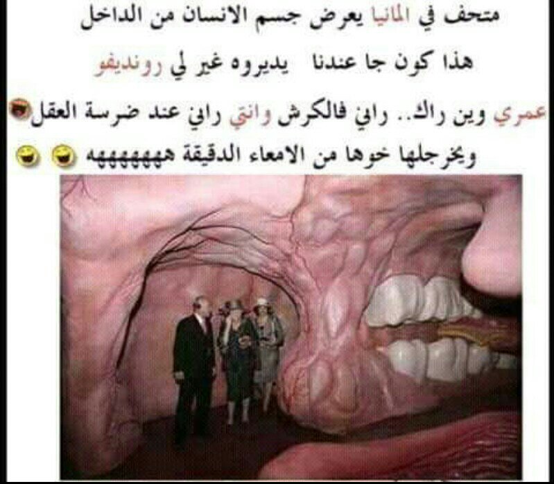 EnimaMokk's tweet photo. هههههههههه @AliKerrouche @fatahsenadjki @Ramzix_Mahmoudi https://t.co/T2HRZNJvkH