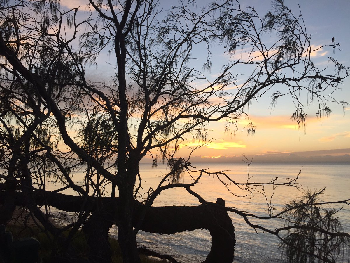 Jamie-Leigh Mason tweet media