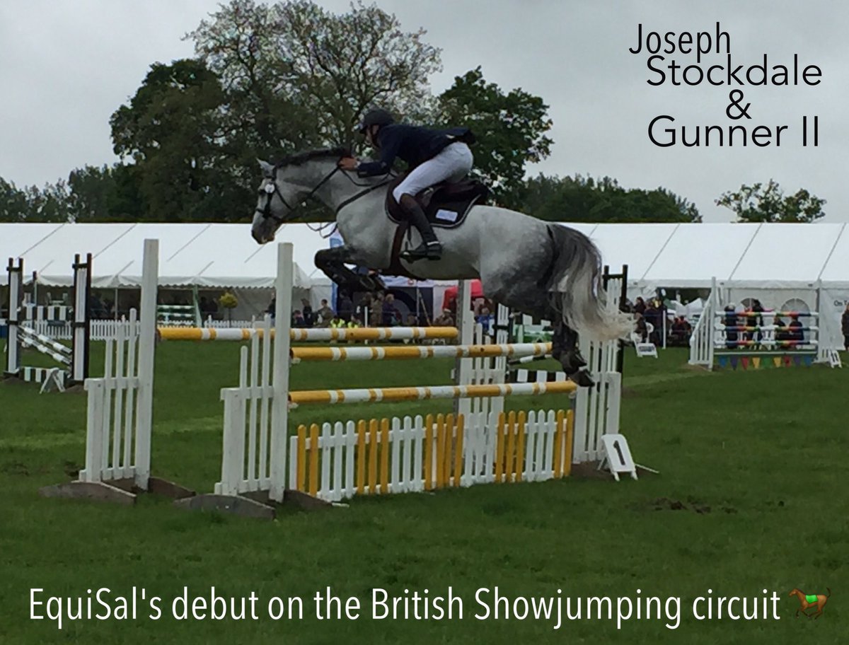 EquiSalTapeworm's tweet photo. @joe_stockdale18 jumped a beautiful round on Gunner II #RockinghamHT. @BritShowjumping https://t.co/VA9dGsMnwu