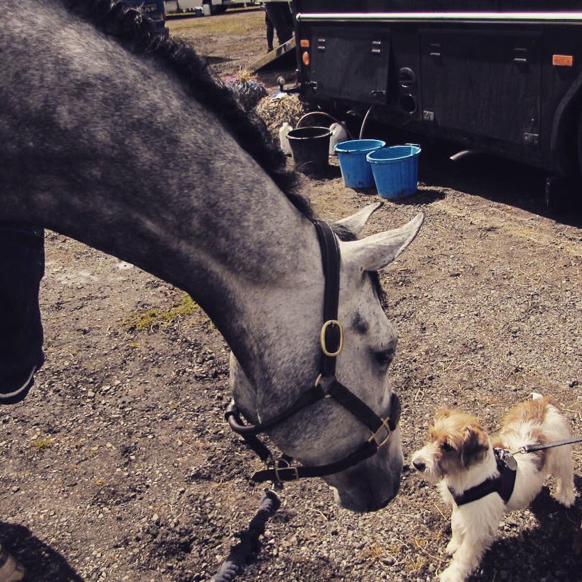 Laura Collett tweet media