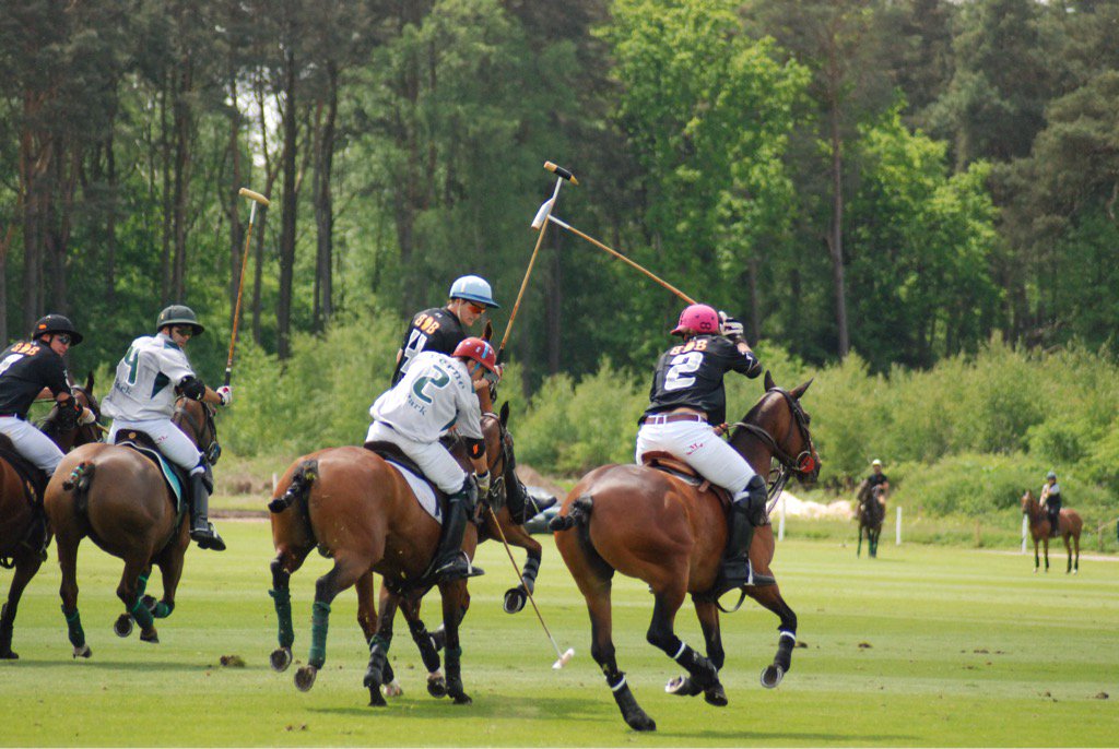 CowdrayEstate's tweet photo. TODAY #dukeofsutherland #Blackbears @maxcharltonpolo #Fernepark WON #Ambersham @cowdraypolo @CowdrayAcademy #polo https://t.co/Qm7wCQTpDg