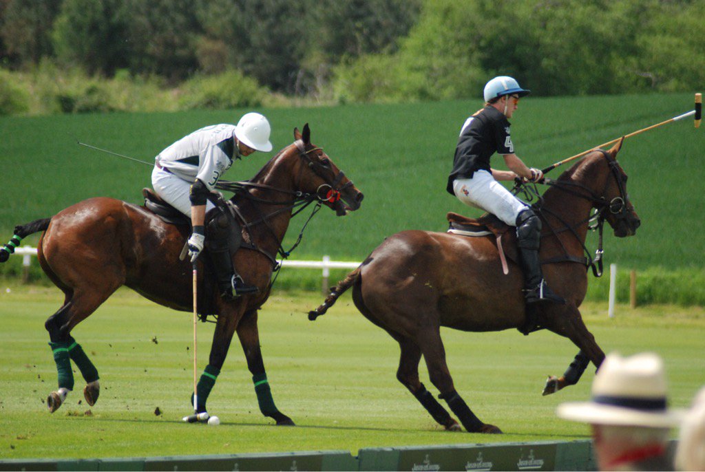 CowdrayEstate's tweet photo. TODAY #dukeofsutherland #Blackbears @maxcharltonpolo #Fernepark WON #Ambersham @cowdraypolo @CowdrayAcademy #polo https://t.co/Qm7wCQTpDg