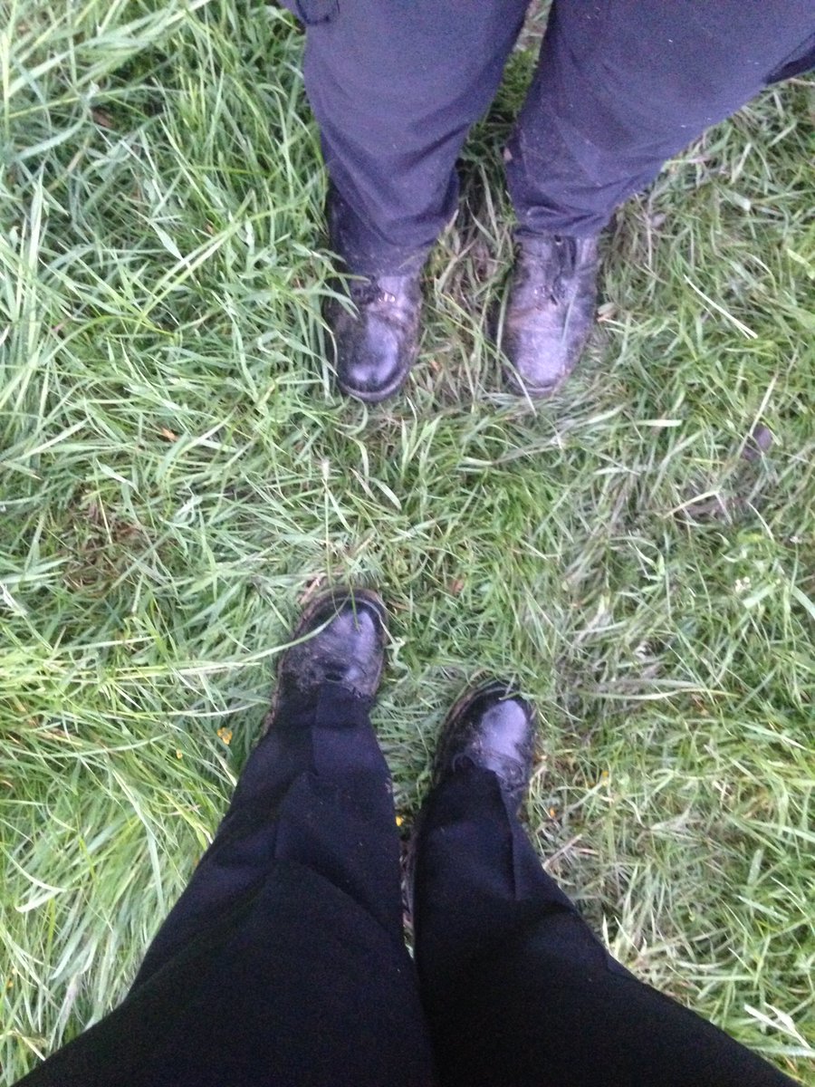 ShrewsburyCops's tweet photo. You wouldn't think we were town PCSO's! #ChasingCows! 🐃🐂 https://t.co/Yz0FHW3pt5