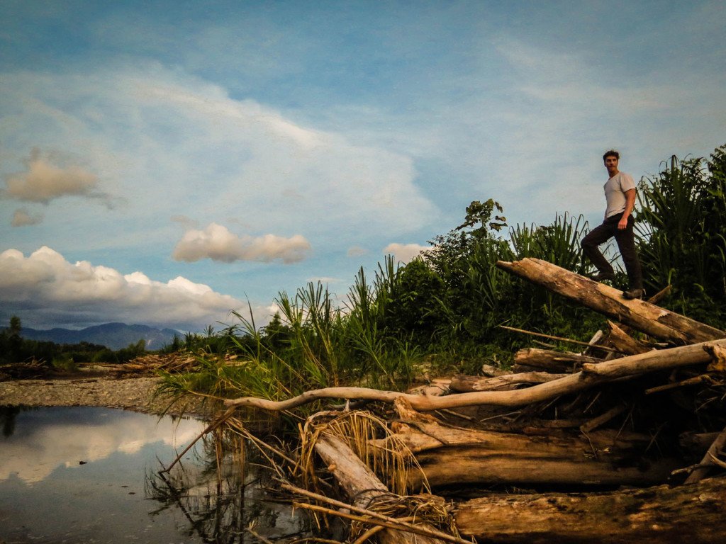 Your Ultimate Guide To Jungle Tours In Madidi National Park - wanderseekfind.com/your-ultimate-… - ...