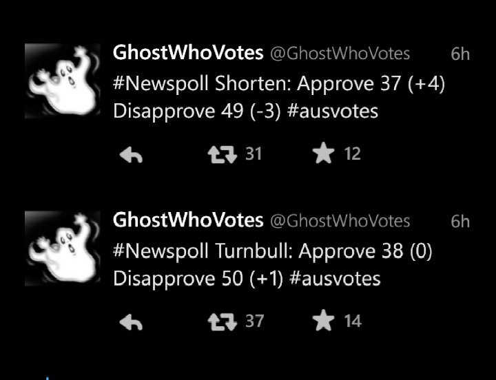 AusLoafer's tweet photo. Wonder how #LNP are feeling about #CaptainWaffles and his 8 week campaign idea.. #Auspol #Ausvotes #Newspoll https://t.co/cMm5Id9FY0