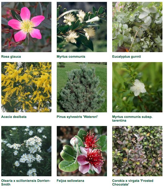 ShootGardening's tweet photo. Preview #plant list #RHSChlesea #Garden https://t.co/BTXhjZw6Ug by #nickbailey
@WintonCapital https://t.co/EaSd9SIl68
