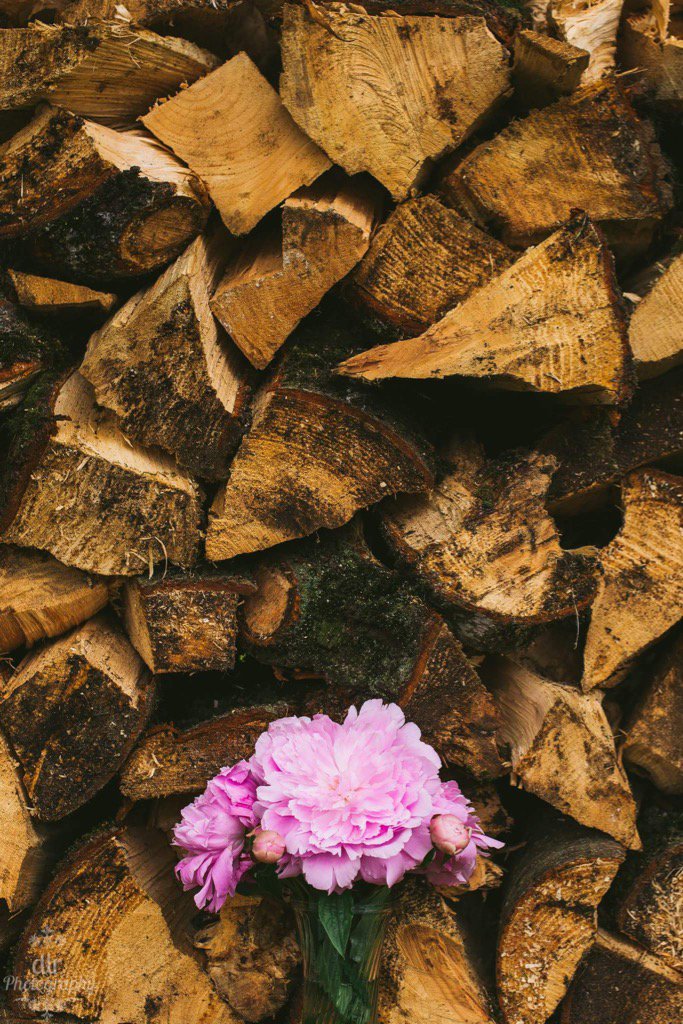 Freshly plucked peonies. #yvr #peonies #beautiful #photography #farmlife